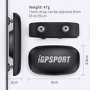 IGP Sport HR 40