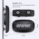 IGP Sport HR 40