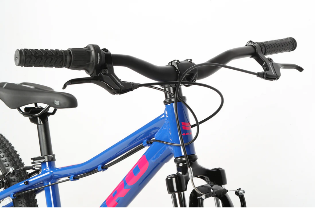 Bicicleta Haro Flightline 20"