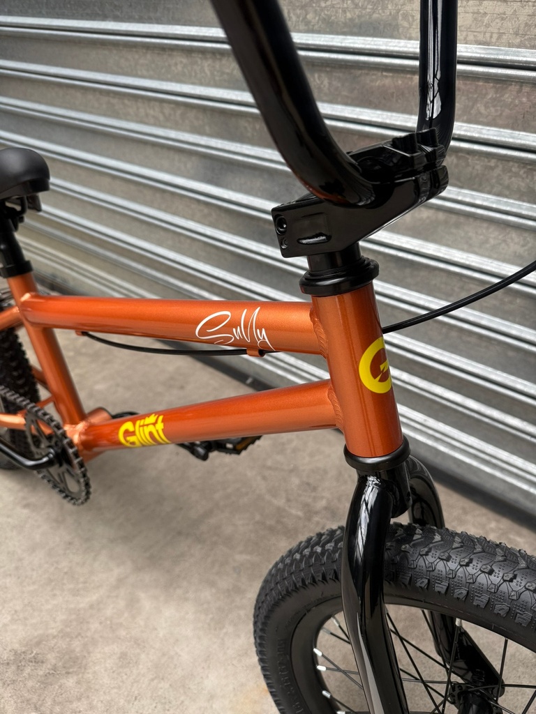 Bicicleta Glint Sully 16" con rueditas