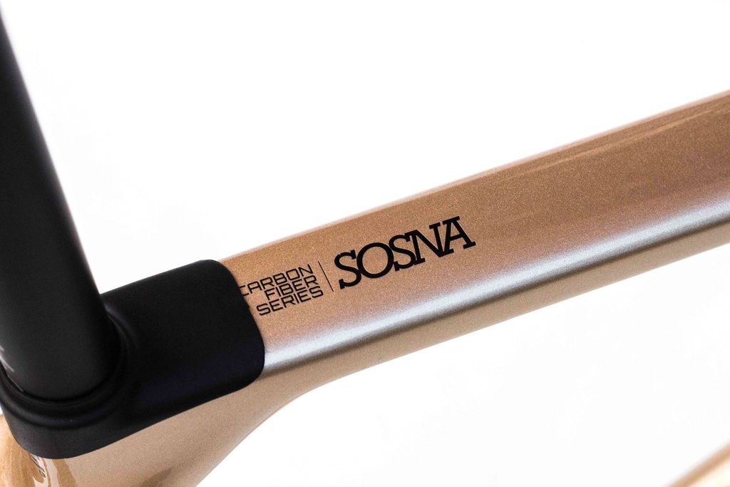 Cuadro Ruta Patriot Sosna Carbono